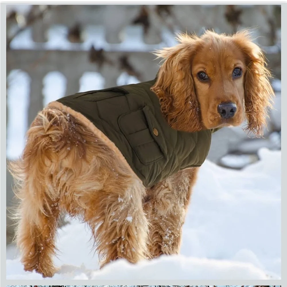 Queenmore Warm Coat For Cold Weather, Quilting Winter Jacket M/ 666/bb1